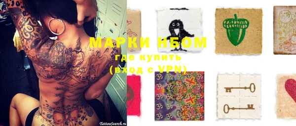 тгк Новодвинск