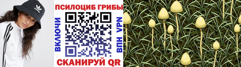 даркнет сайт  KRAKEN ссылки  Галлюциногенные грибы GOLDEN TEACHER  Сосенский 